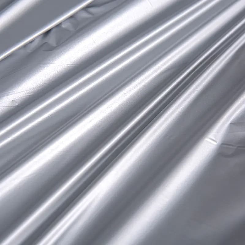 Silver polyester film